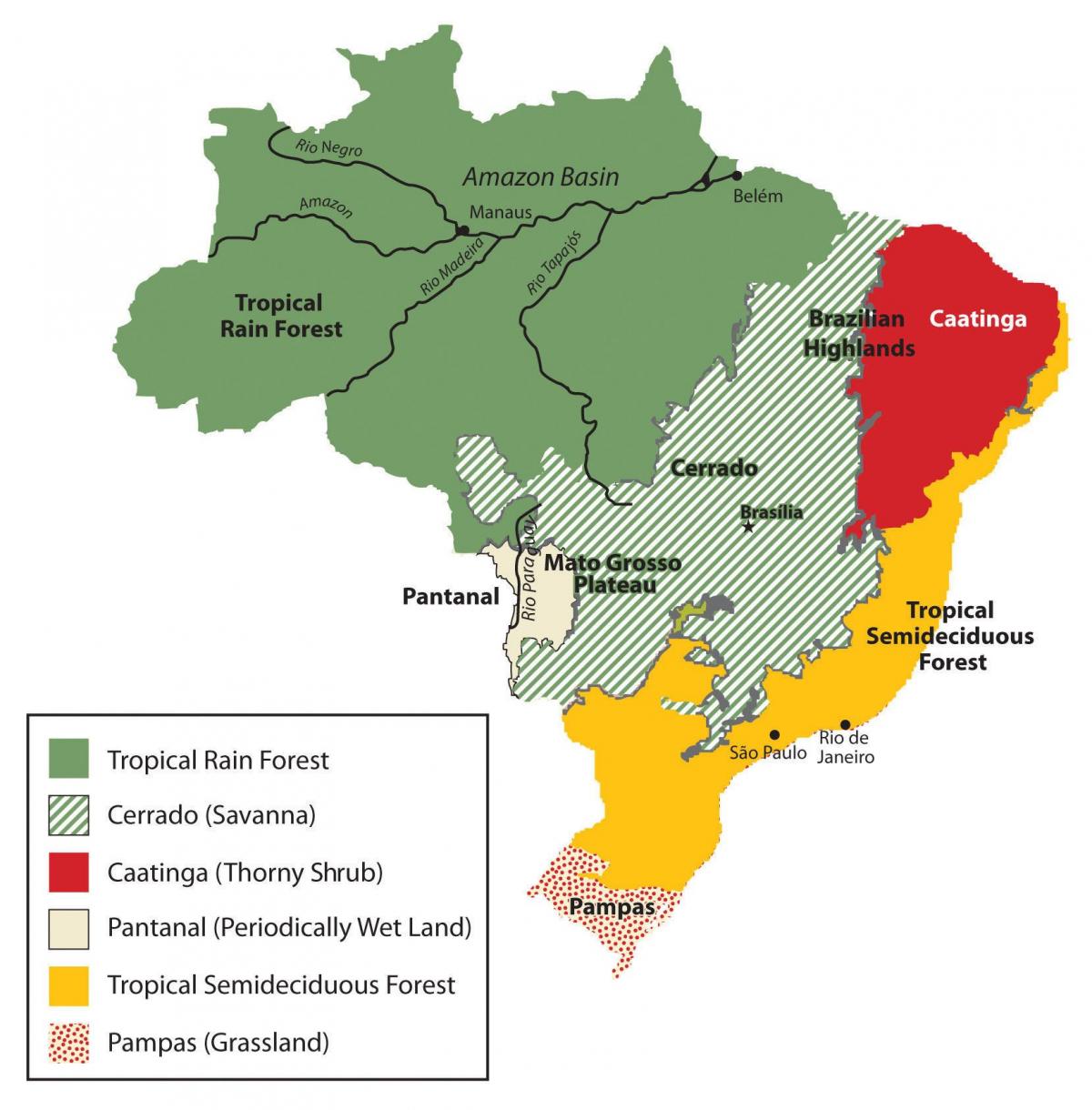 carte de la végétation du Brésil