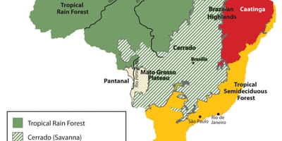 Carte de la végétation du Brésil