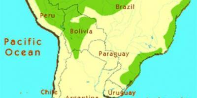 La forêt tropicale dans la carte du Brésil