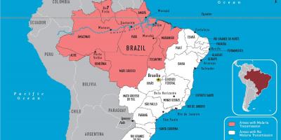 Le paludisme carte du Brésil