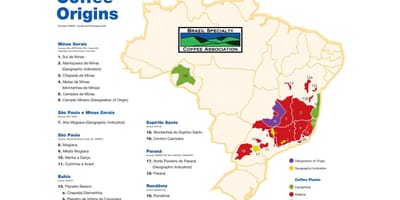 Carte du Brésil café