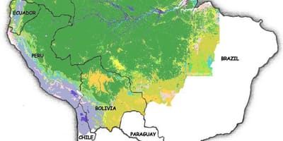 Carte du Brésil forêts