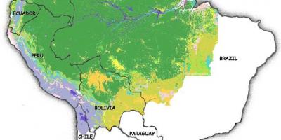 Carte du Brésil forêts